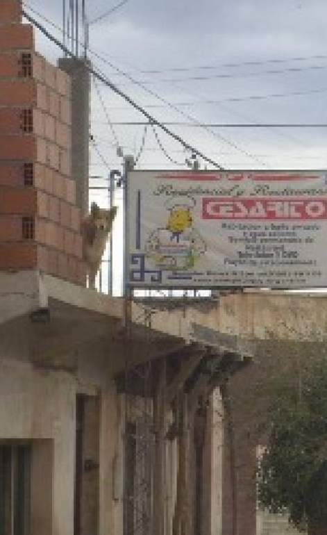Cesarito - Residencial / Jujuy